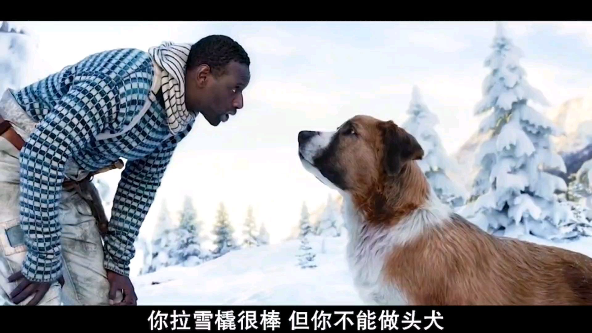 推荐一部电影,太棒了